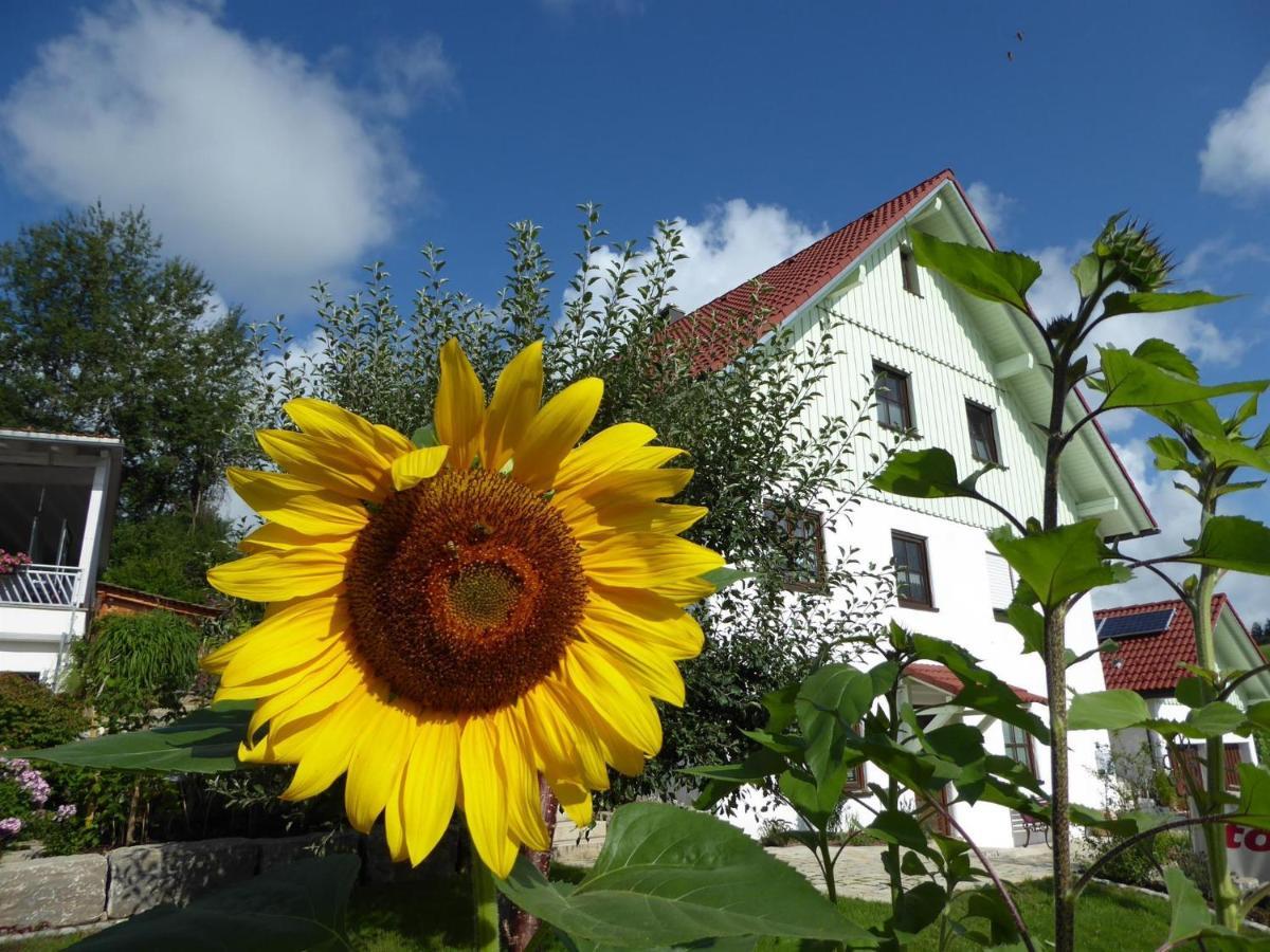 Erholungsraum Karsee - Ferienwohnung Wangen im Allgäu المظهر الخارجي الصورة