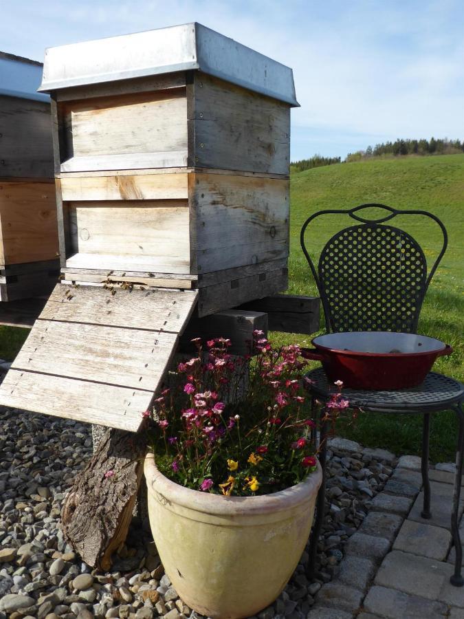 Erholungsraum Karsee - Ferienwohnung Wangen im Allgäu المظهر الخارجي الصورة