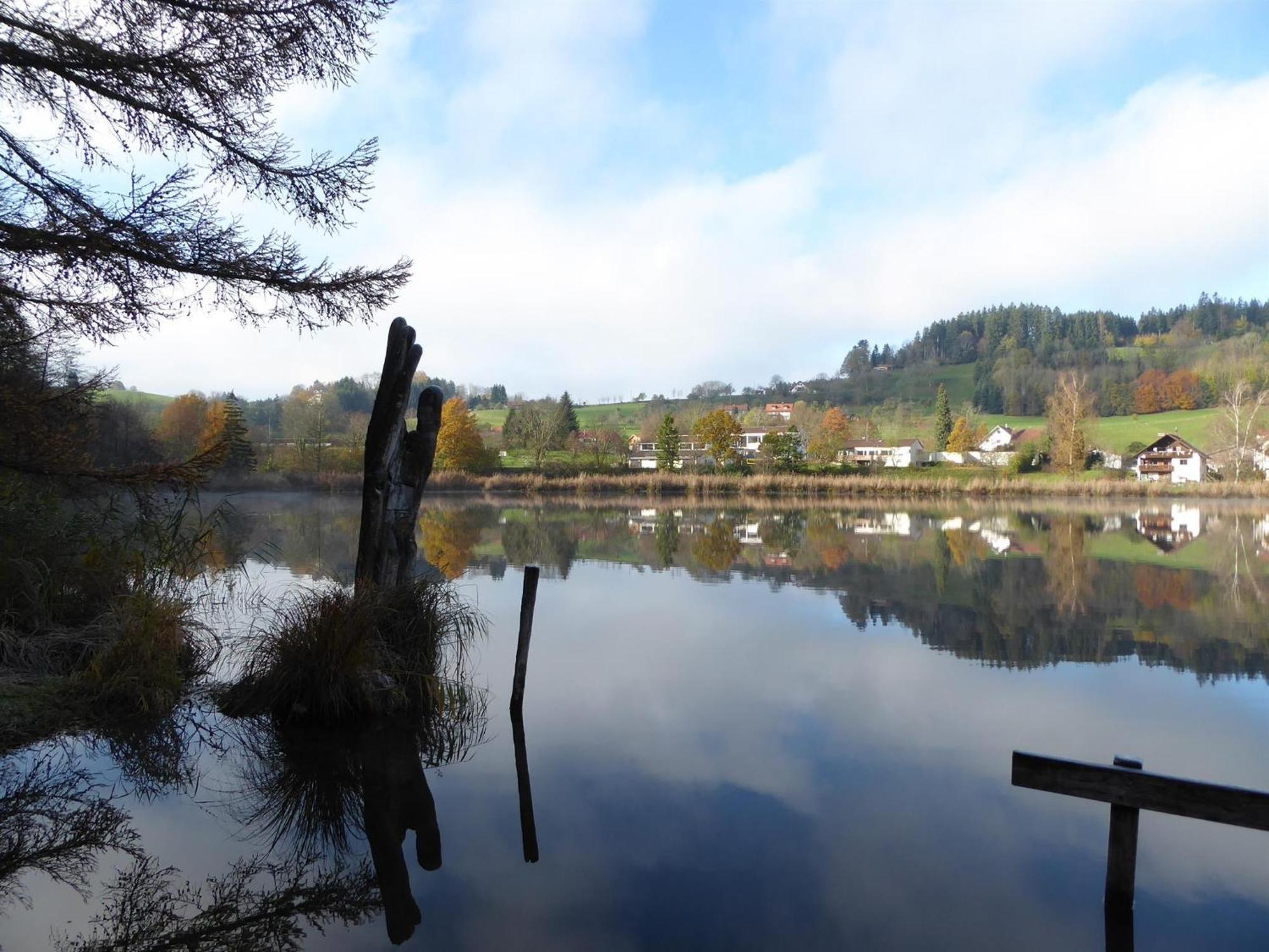 Erholungsraum Karsee - Ferienwohnung Wangen im Allgäu المظهر الخارجي الصورة